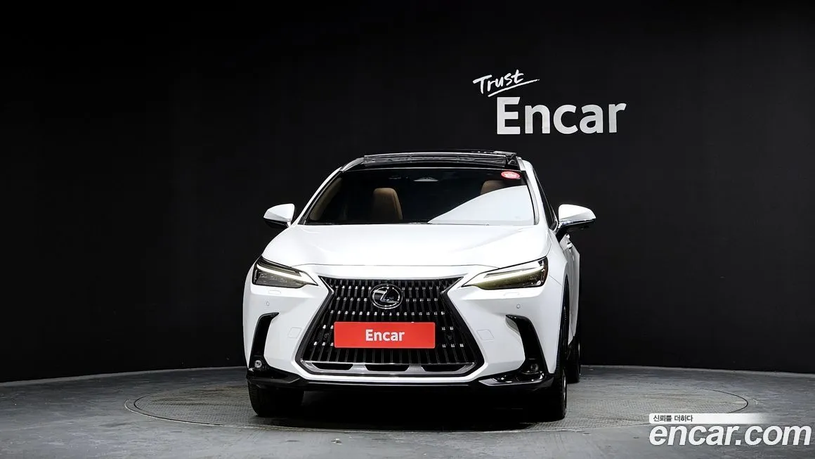 Lexus NX 2024 из KR, фото 3