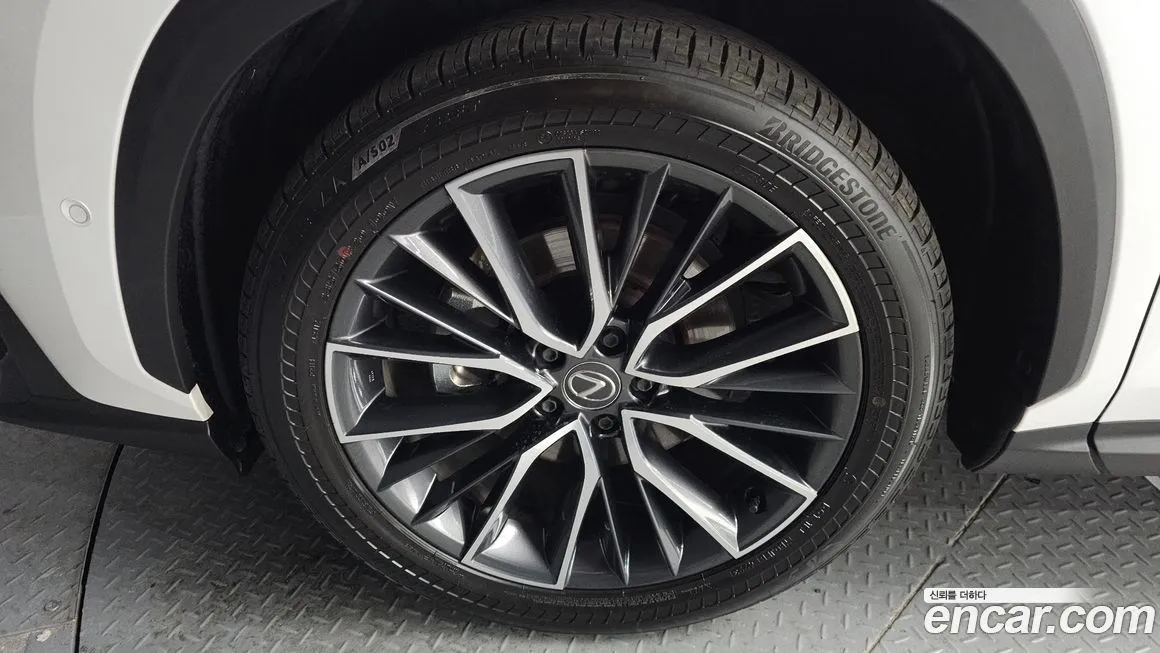 Lexus NX 2024 из KR, фото 5