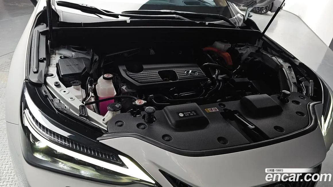 Lexus NX 2024 из KR, фото 6