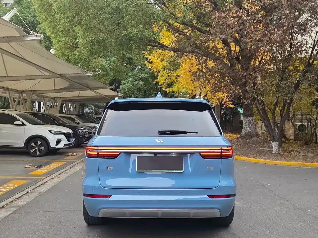 Li Auto ONE 2021 из CN, фото 6