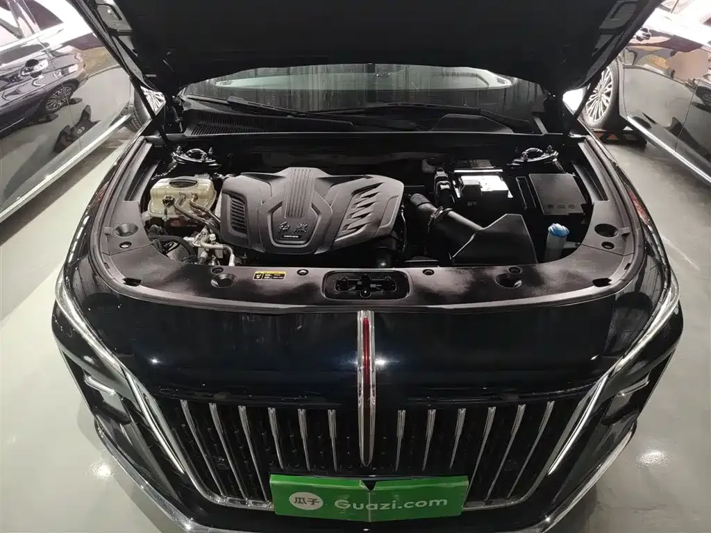 Hongqi H5 2023 из CN, фото 10