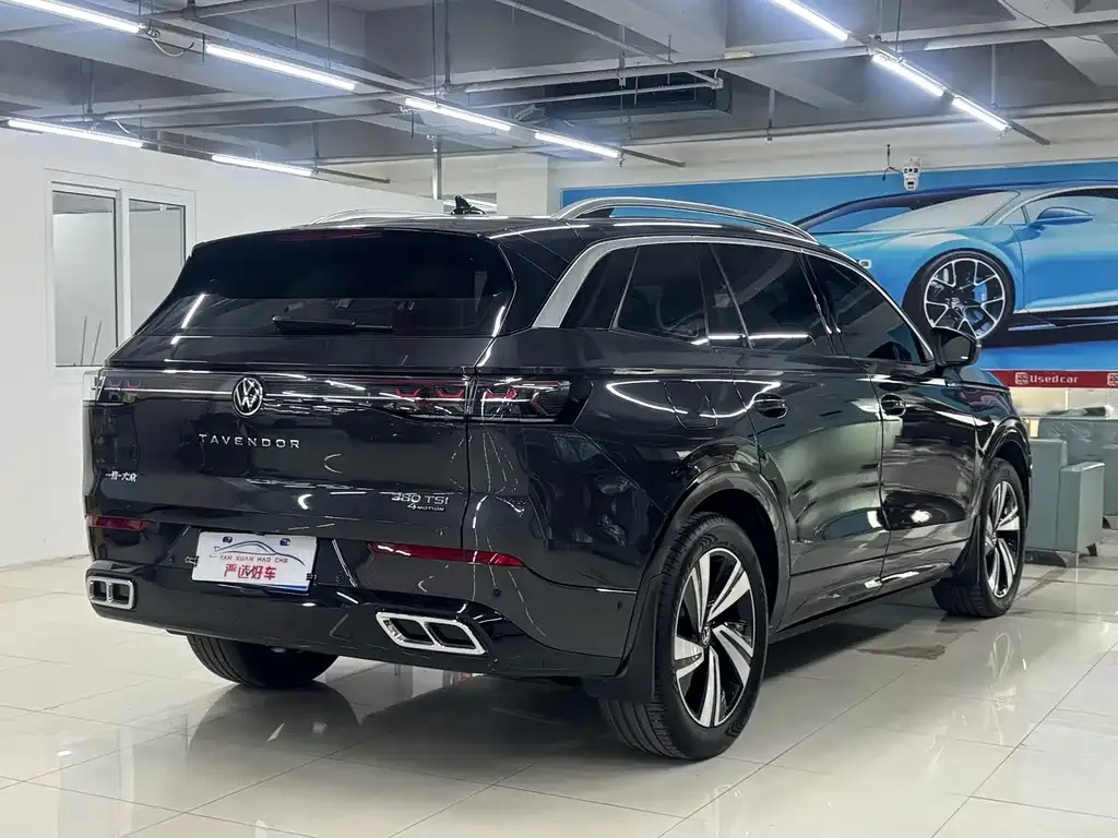 Volkswagen Tavendor 2024 из CN, фото 7