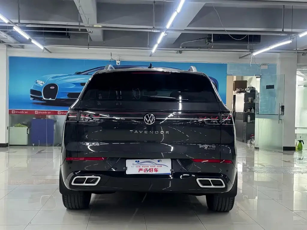 Volkswagen Tavendor 2024 из CN, фото 8