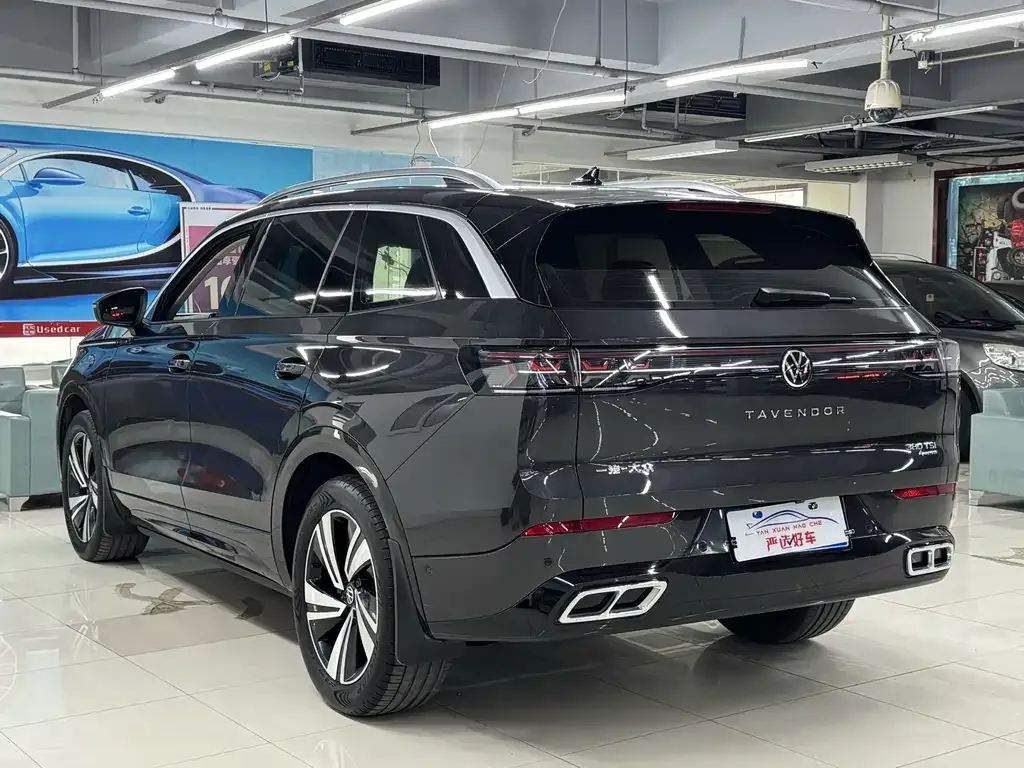 Volkswagen Tavendor 2024 из CN, фото 9