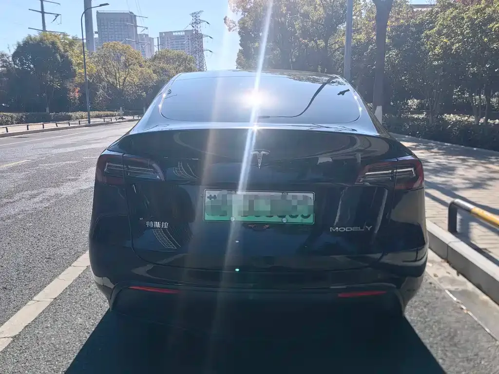Tesla Model Y — фото 10