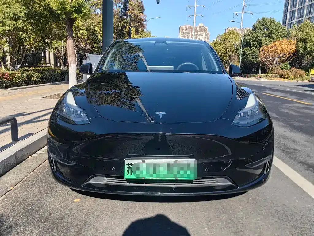Tesla Model Y — фото 2