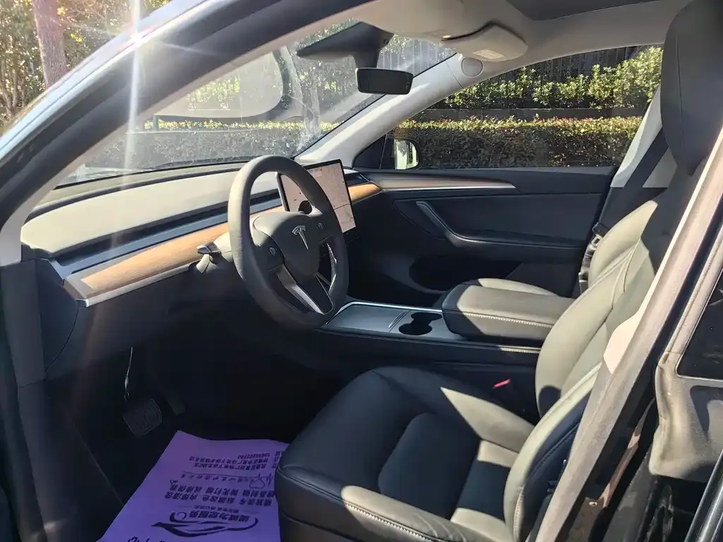 Tesla Model Y — фото 6