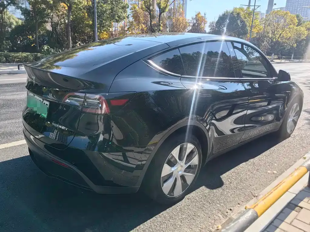 Tesla Model Y — фото 9
