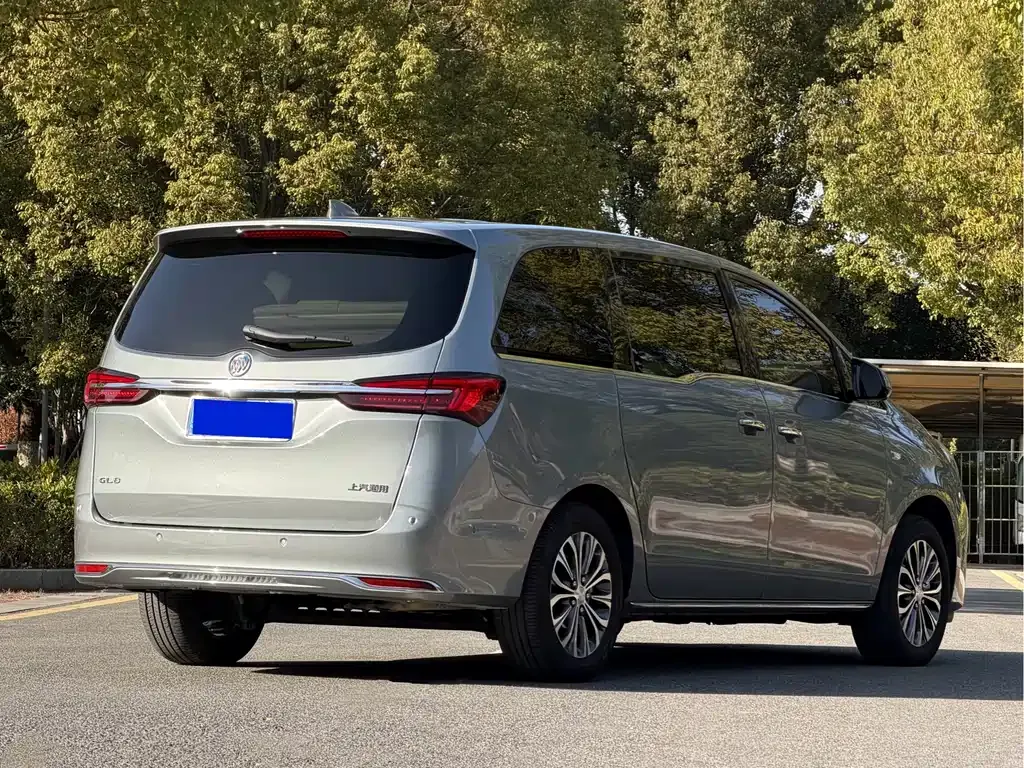 Buick GL8 2024 из CN, фото 6