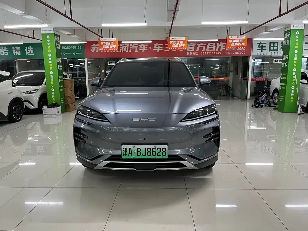 BYD PLUS New Energy 2024 из CN, фото 2