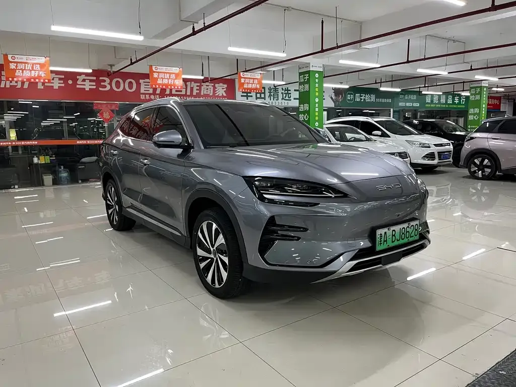 BYD PLUS New Energy 2024 из CN, фото 3