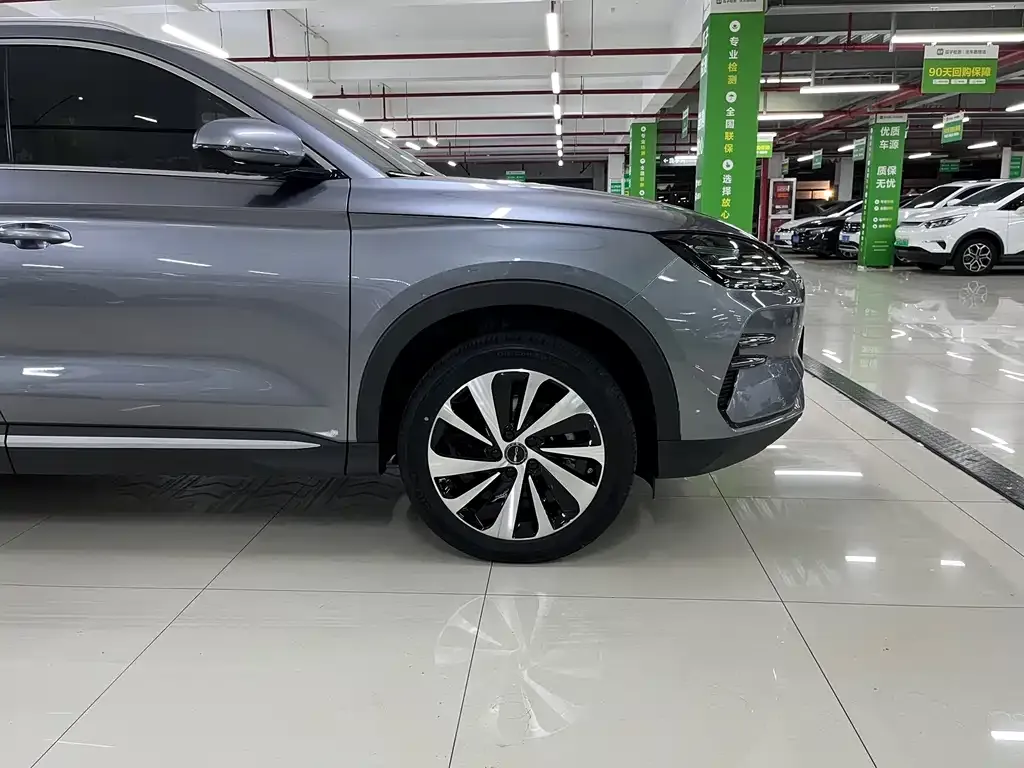 BYD PLUS New Energy 2024 из CN, фото 4