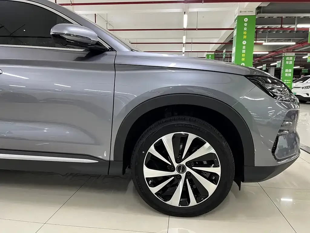 BYD PLUS New Energy 2024 из CN, фото 5