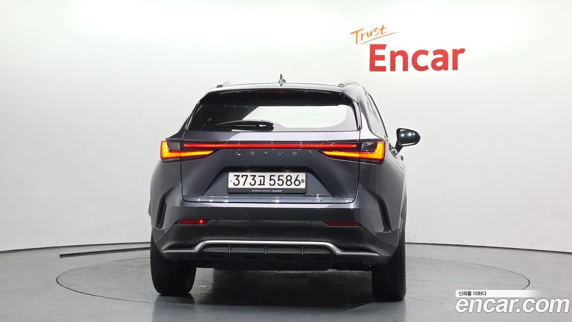 Lexus NX 2022 из KR, фото 4