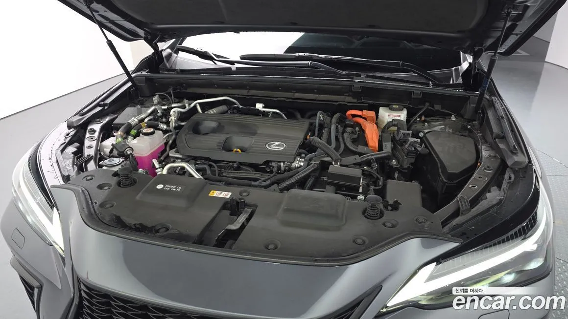 Lexus NX 2022 из KR, фото 6