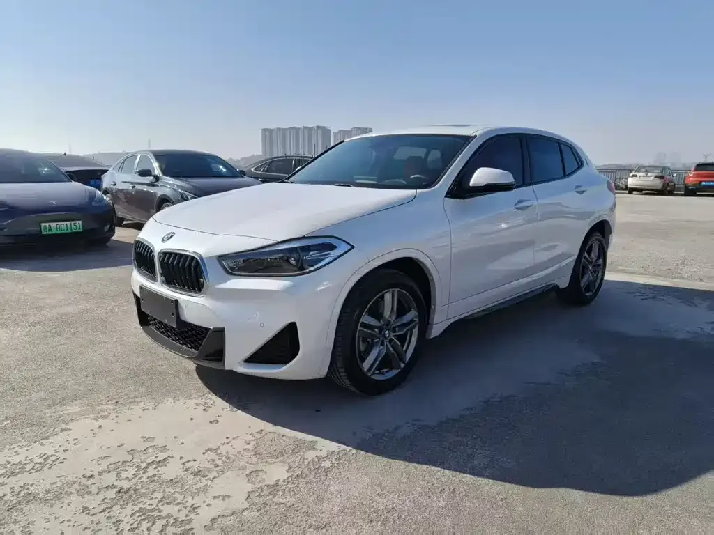BMW X2 — фото 1