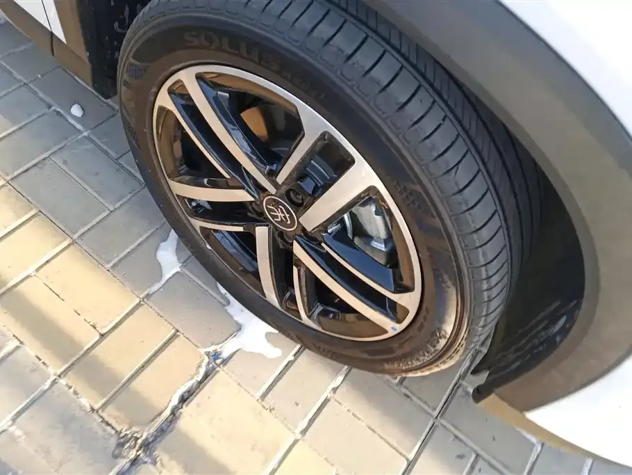 BYD L DM-i — фото 6
