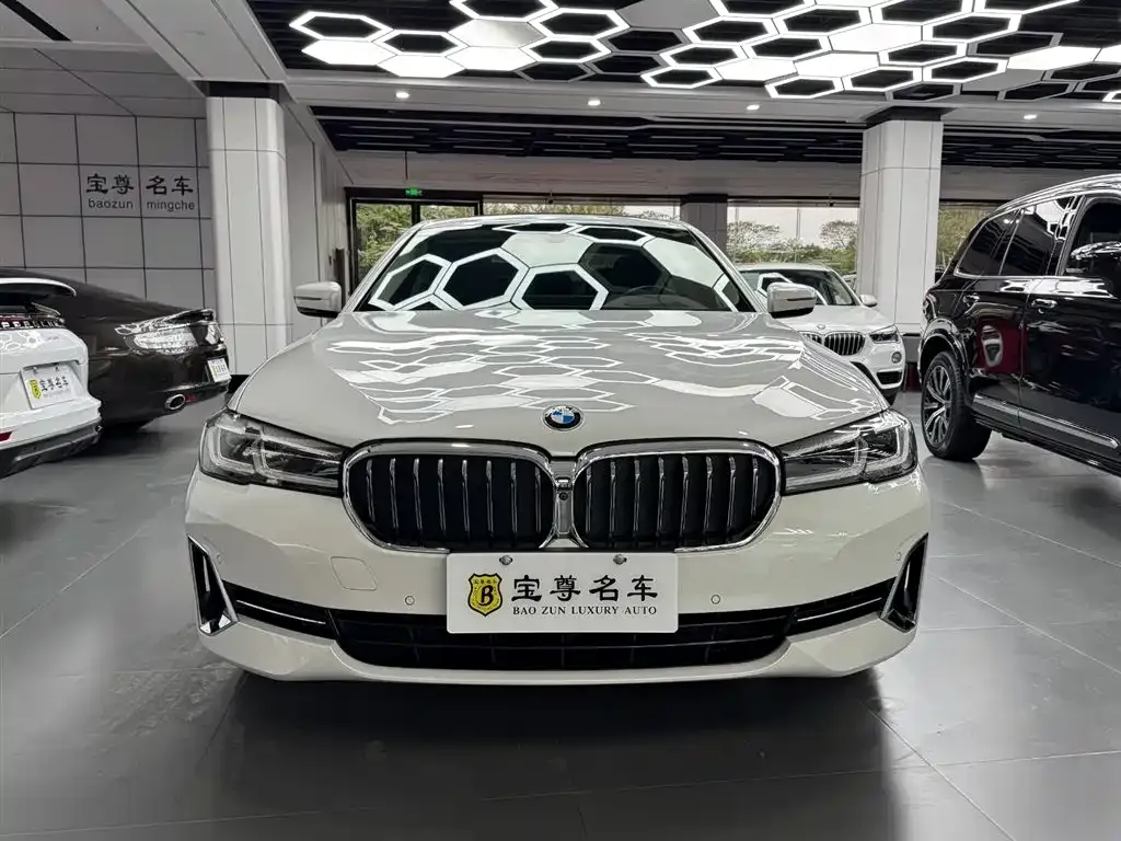 BMW 5 Series 2022 из CN, фото 1