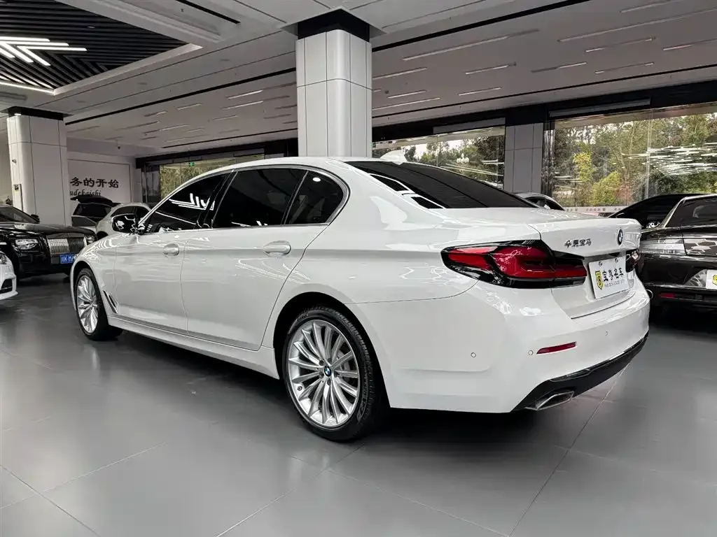 BMW 5 Series 2022 из CN, фото 4