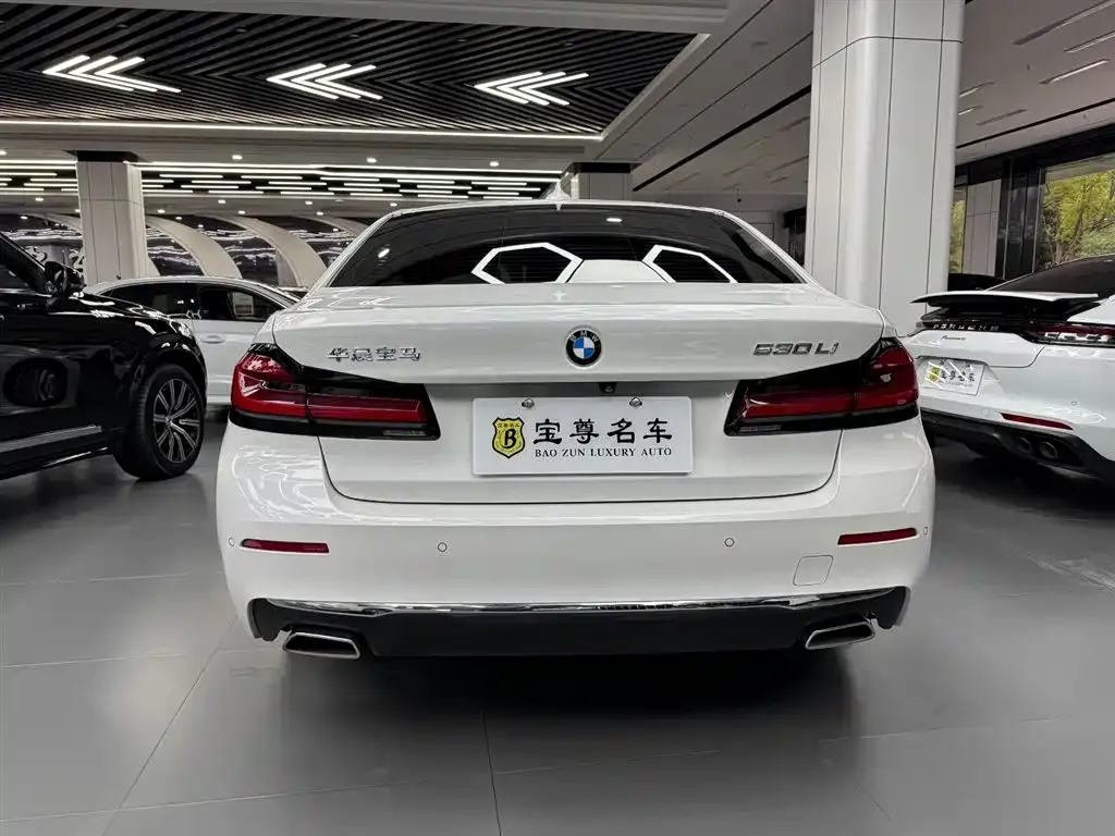 BMW 5 Series 2022 из CN, фото 6