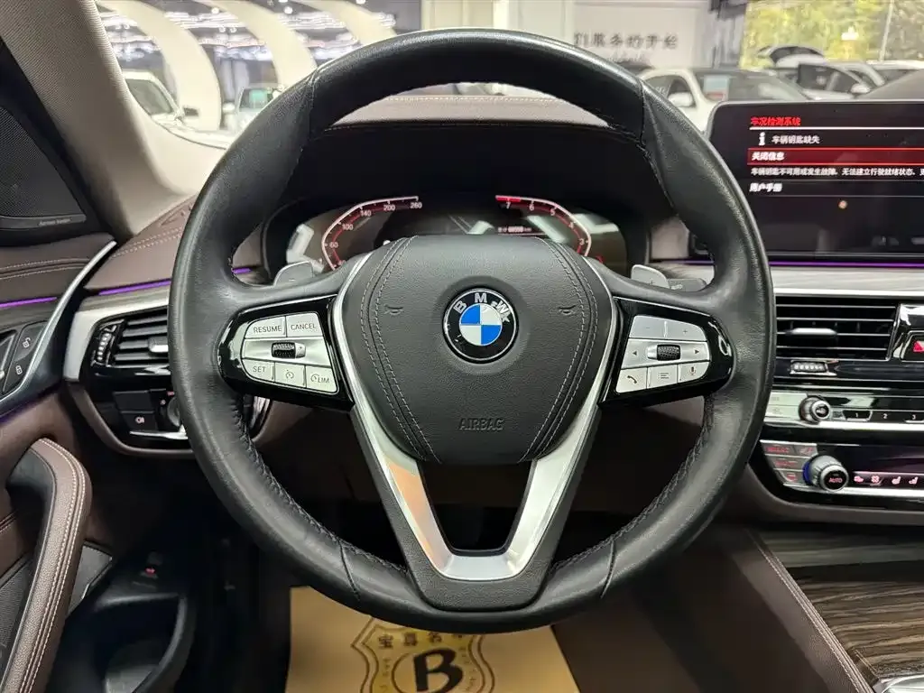 BMW 5 Series 2022 из CN, фото 9
