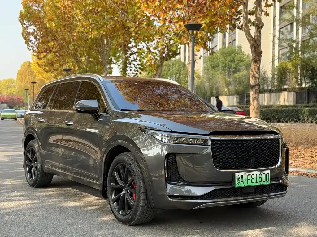 Li Auto ONE 2021 из CN, фото 3