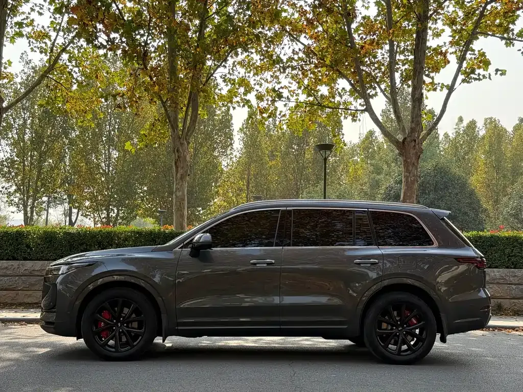 Li Auto ONE 2021 из CN, фото 8