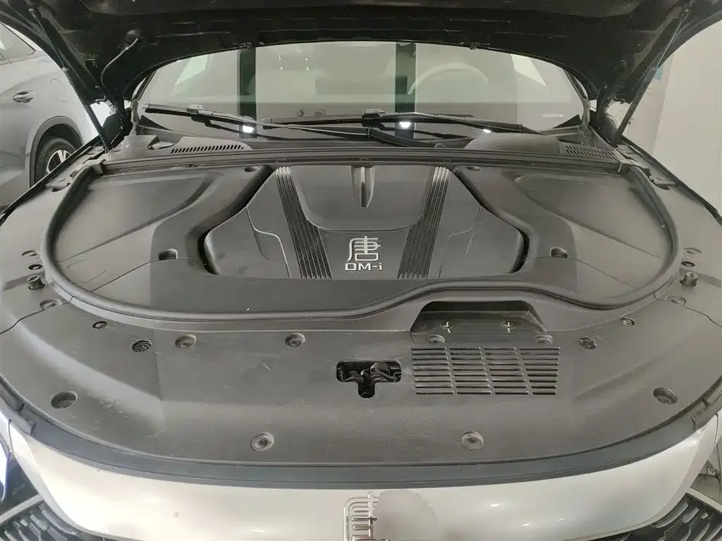 BYD Tang New Energy 2025 из CN, фото 10