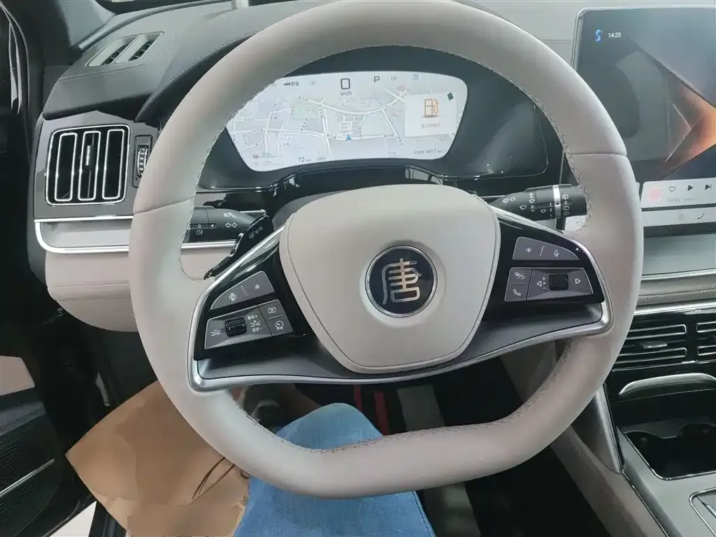 BYD Tang New Energy 2025 из CN, фото 3