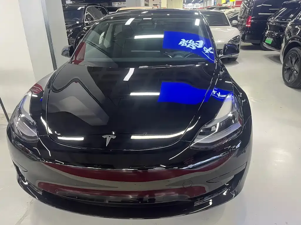 Tesla Model 3 2023 из CN, фото 2