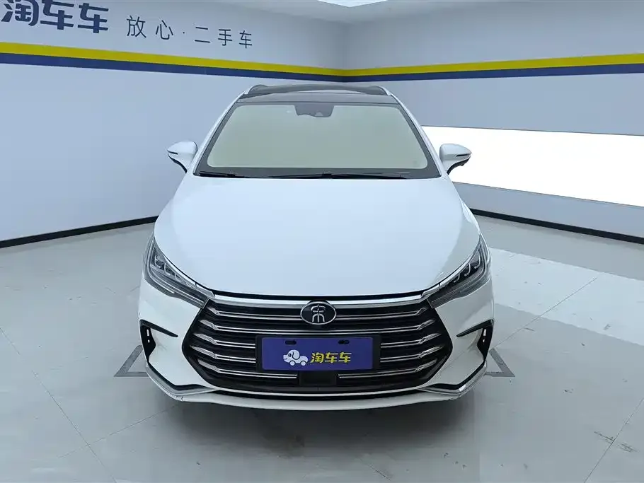 BYD MAX New Energy 2023 из CN, фото 2
