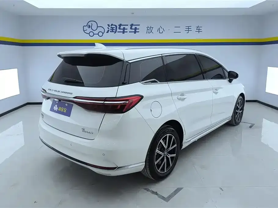BYD MAX New Energy 2023 из CN, фото 3