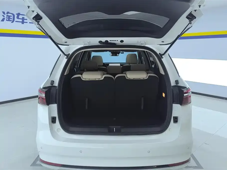 BYD MAX New Energy 2023 из CN, фото 4