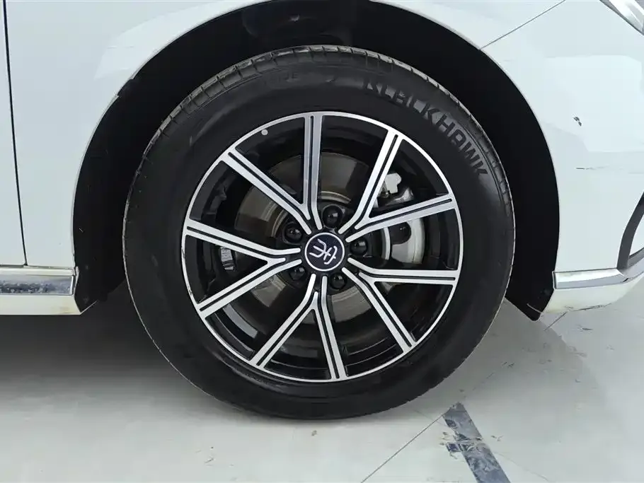 BYD MAX New Energy 2023 из CN, фото 6