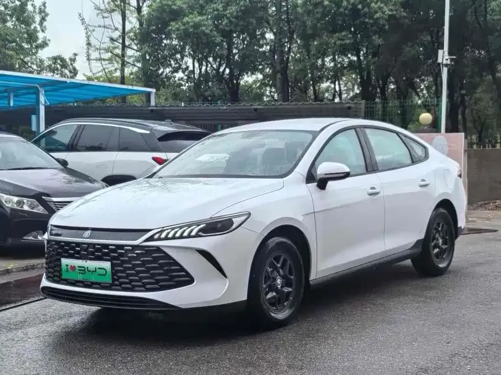 BYD Qin PLUS 2025 из CN, фото 1