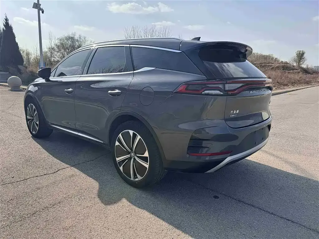 BYD Tang New Energy — фото 4