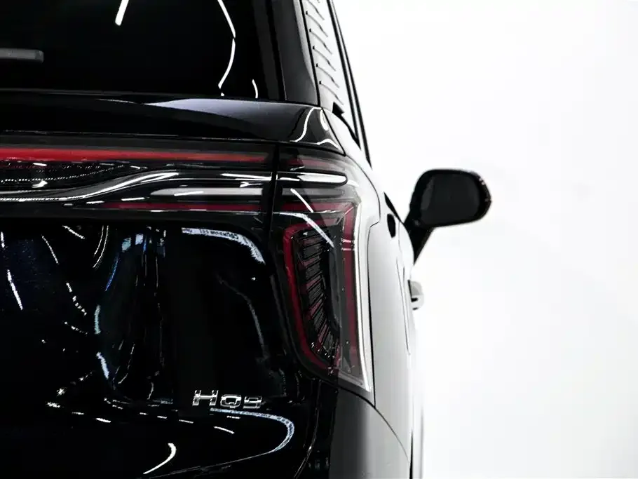 Hongqi HQ9 — фото 10