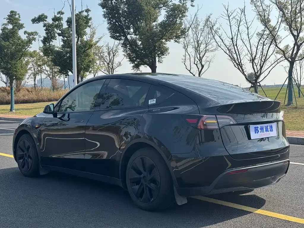 Tesla Model Y — фото 10