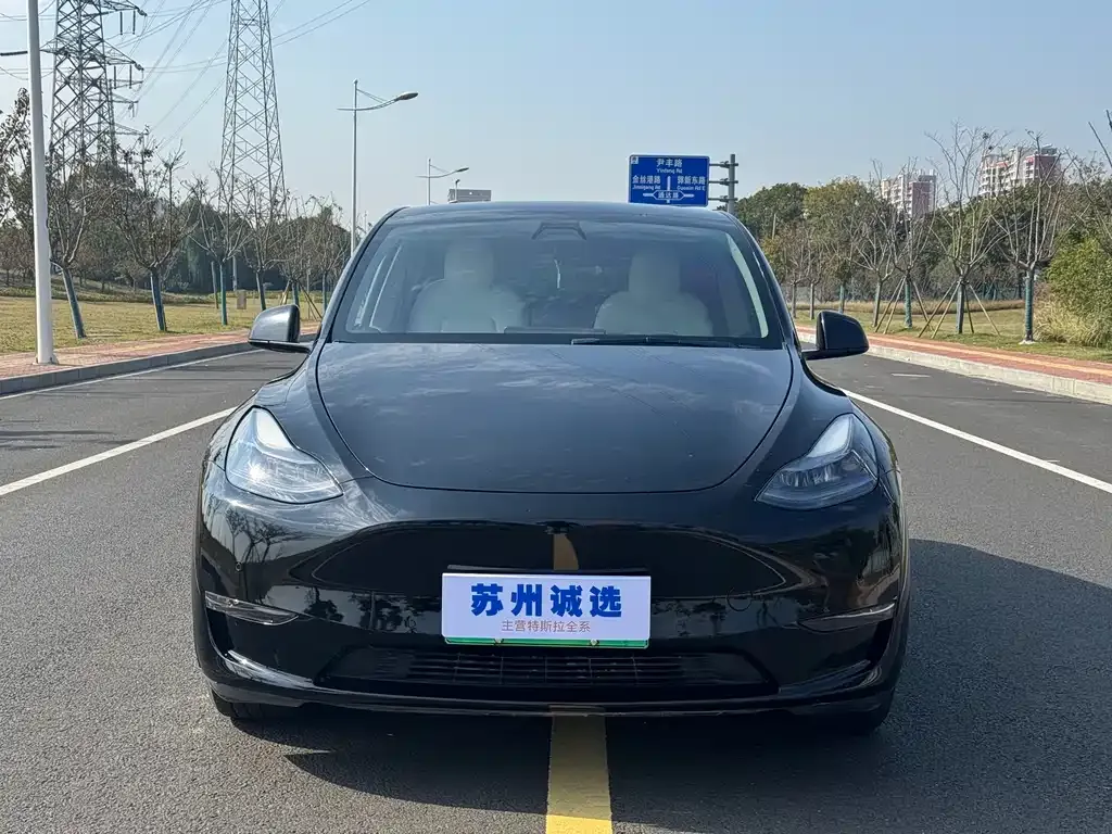Tesla Model Y — фото 2