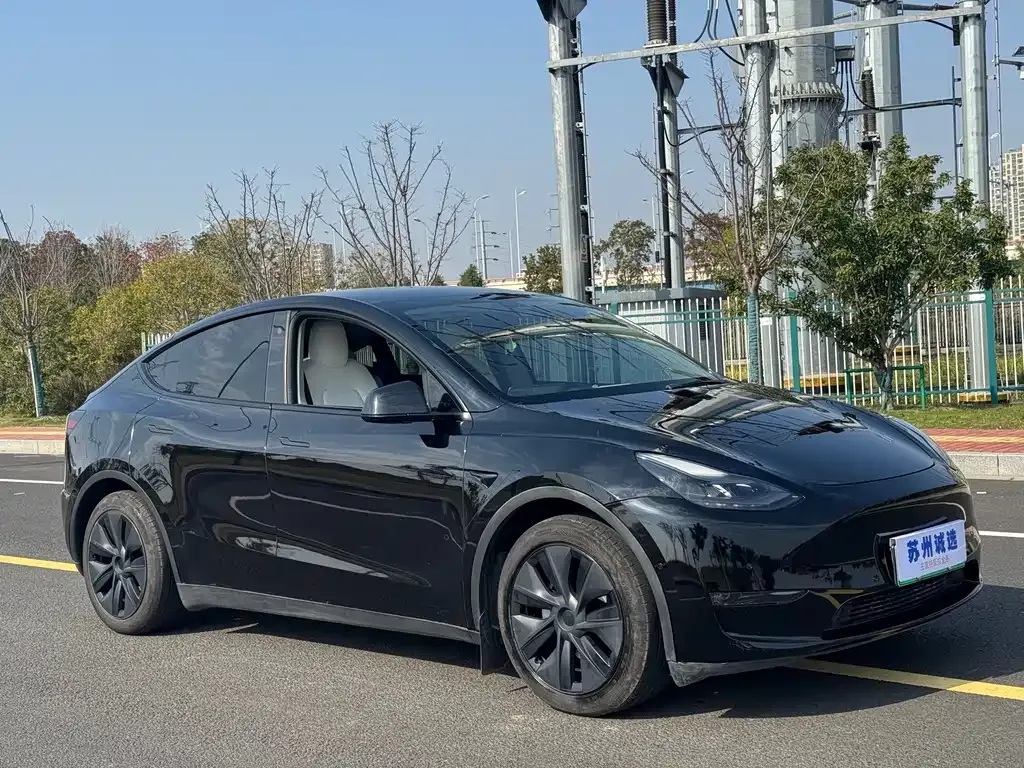 Tesla Model Y — фото 3
