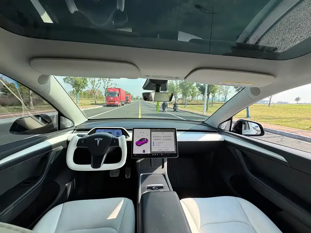 Tesla Model Y — фото 6