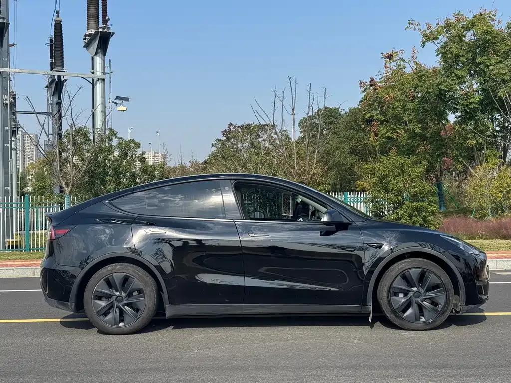 Tesla Model Y — фото 9