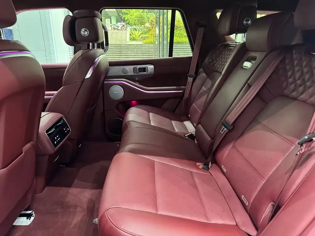 Tank 700 New Energy 2024 из CN, фото 10