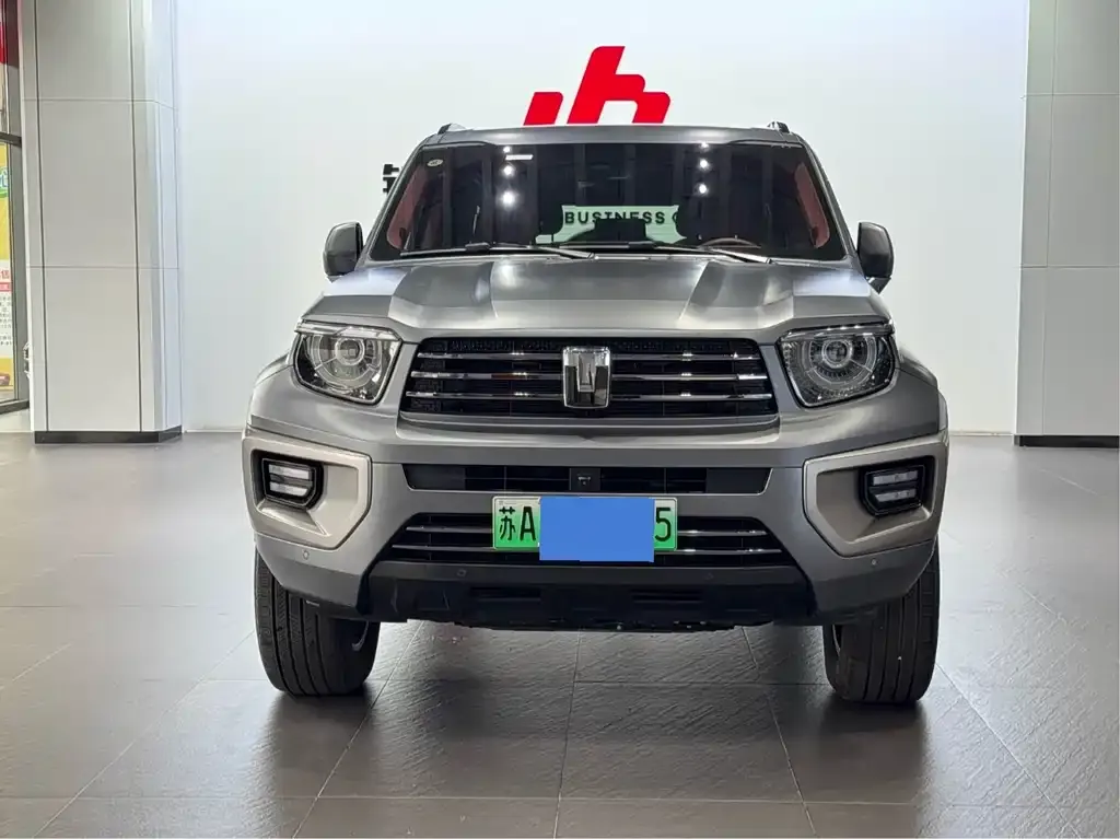 Tank 700 New Energy 2024 из CN, фото 2