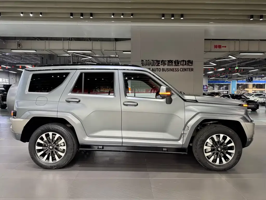 Tank 700 New Energy 2024 из CN, фото 4