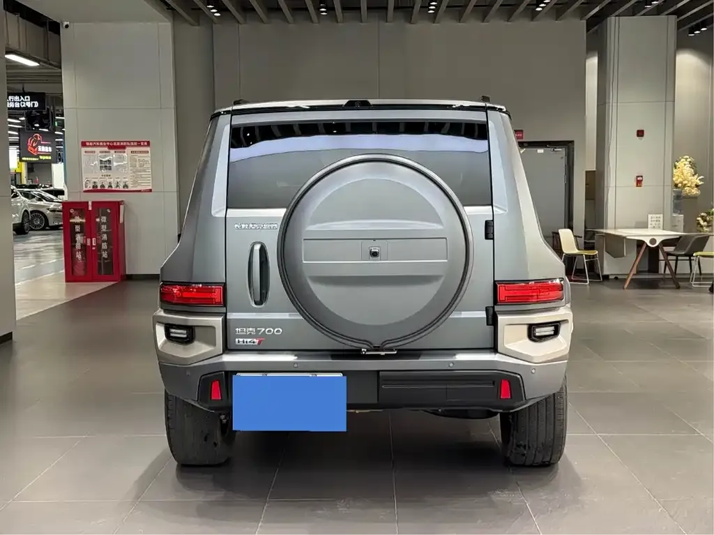 Tank 700 New Energy 2024 из CN, фото 6