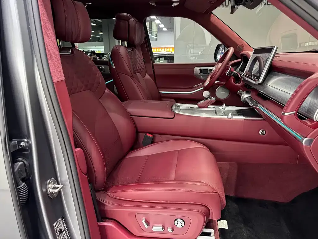 Tank 700 New Energy 2024 из CN, фото 9