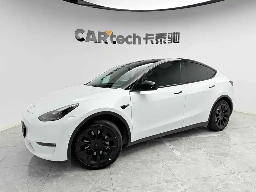 Tesla Model Y — фото 1