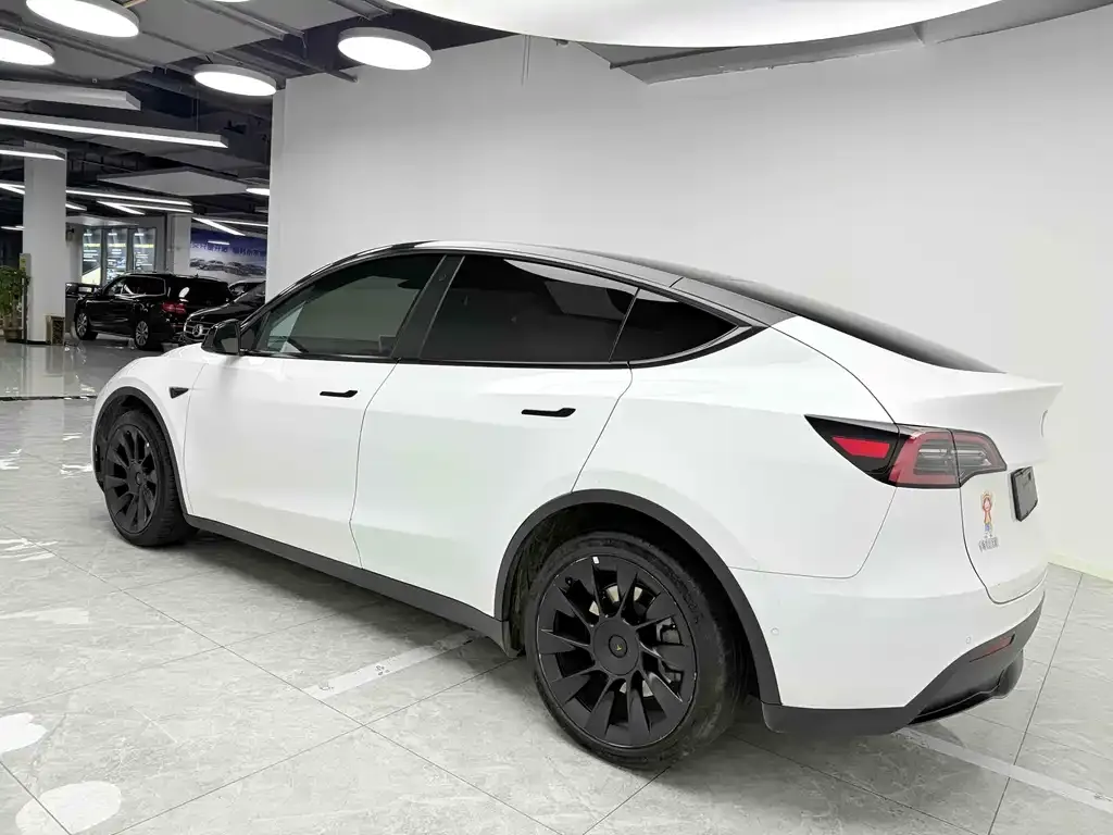 Tesla Model Y — фото 4