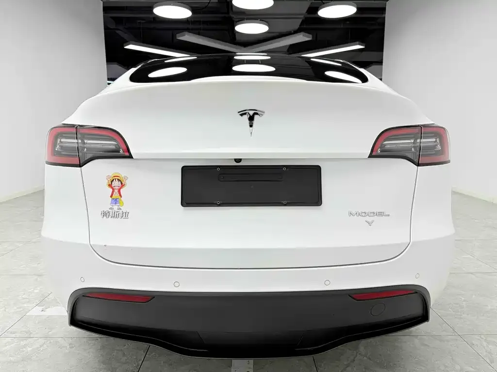 Tesla Model Y — фото 5